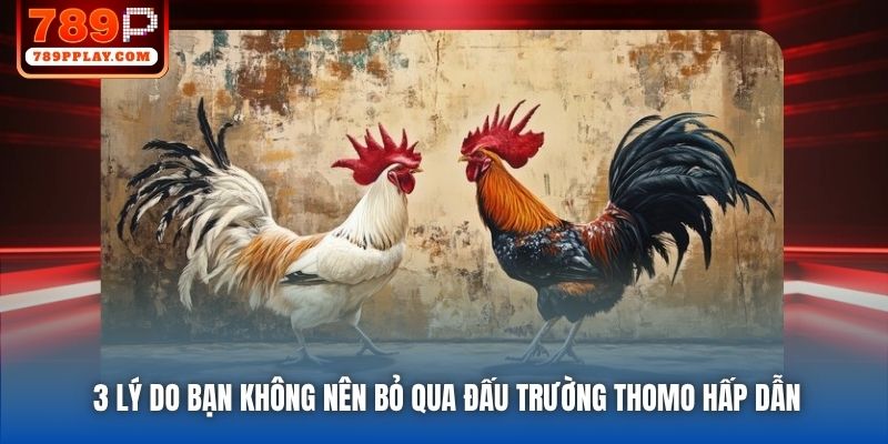 3 lý do bạn không nên bỏ qua đấu trường Thomo hấp dẫn