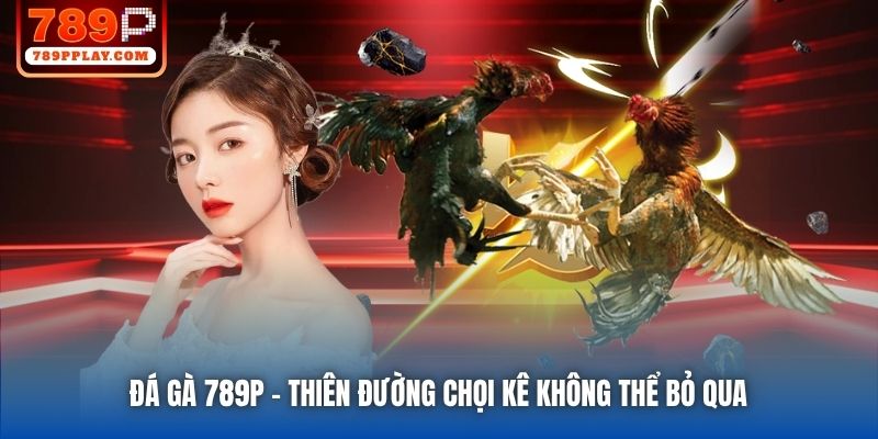 Đá Gà 789P | Thiên Đường Chọi Kê Không Thể Bỏ Qua