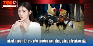 Đá Gà Trực Tiếp C1 | Đấu Trường Kịch Tính, Đẳng Cấp Hàng Đầu