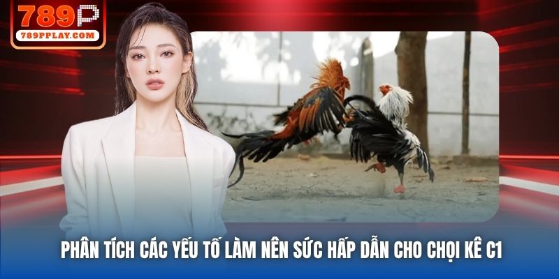 Phân tích các yếu tố làm nên sức hấp dẫn cho chọi kê C1